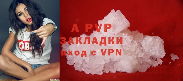 гидра Нея