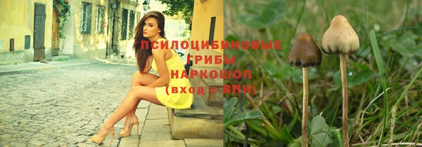 гидра Нея
