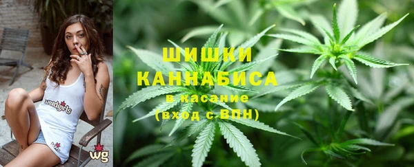 гидра Нея