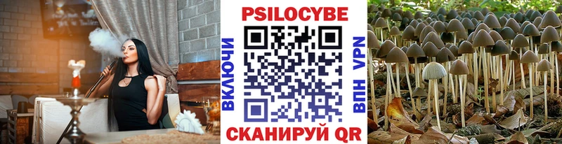 Галлюциногенные грибы ЛСД  omg зеркало  Новоульяновск 